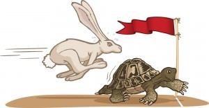 tortoise and hare race